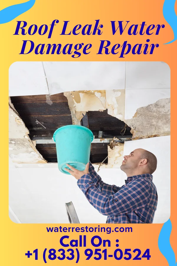 Roof Leak Water Damage Repair in Sarcoxie, MO